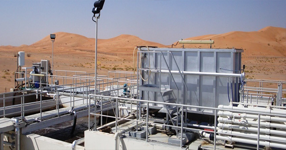 Chicken Slaughtering & Processing