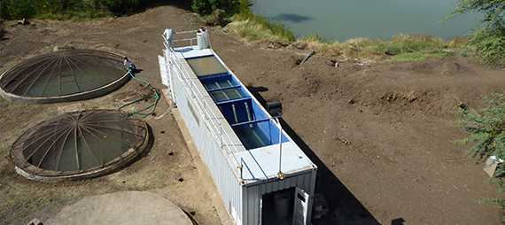 Managil Villages PWTP, Managil - Sudan