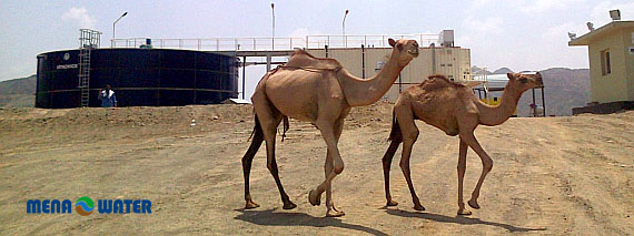 MBR Sewage Plant in Saudi Arabia